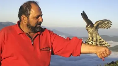 Quand passent les rapaces
