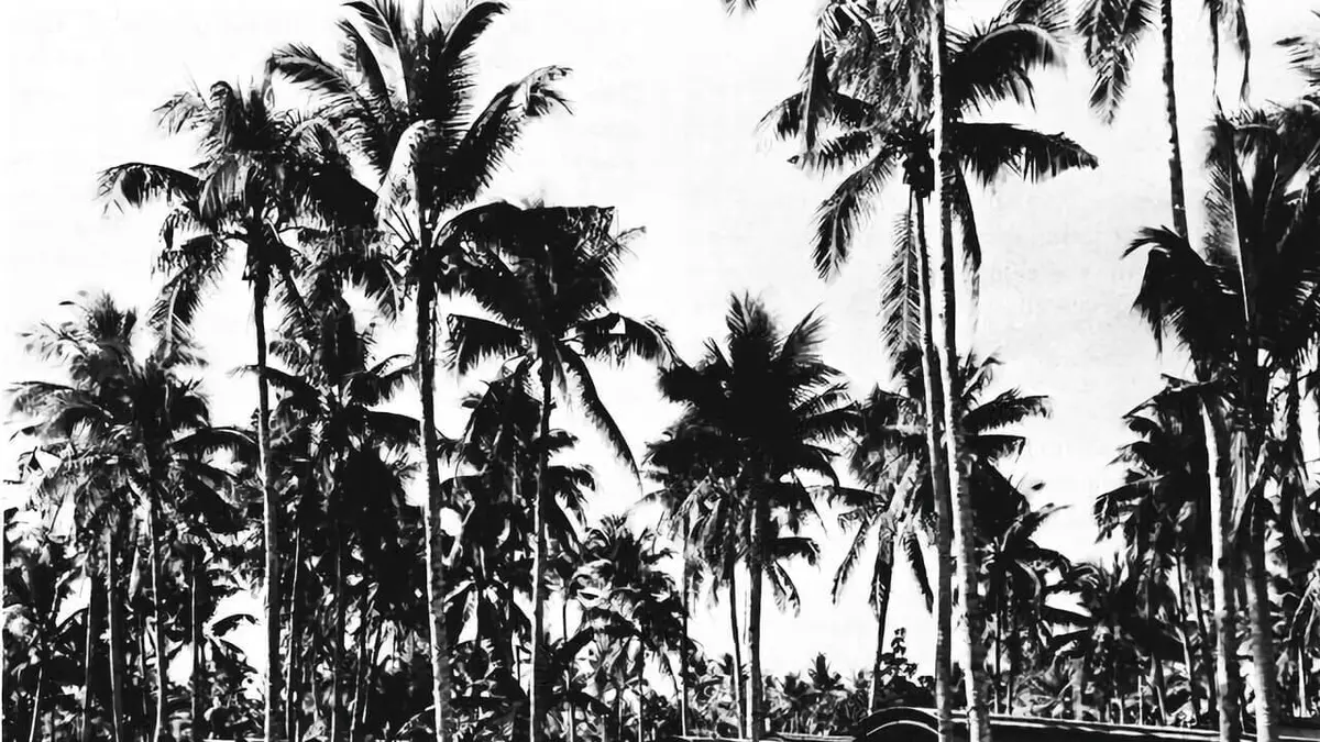 Quand Pearl Harbor changea le destin de la France