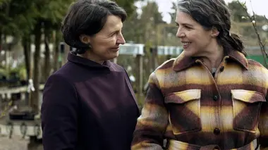 Quand revient le calme