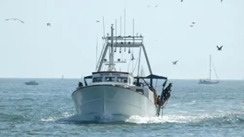 Quartier général Pêcheurs contre vents et marées