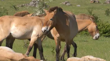 Quatre saisons dans les Cévennes