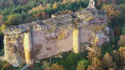 Quatre saisons en forêt du Palatinat