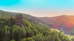 Quatre saisons en forêt du Palatinat