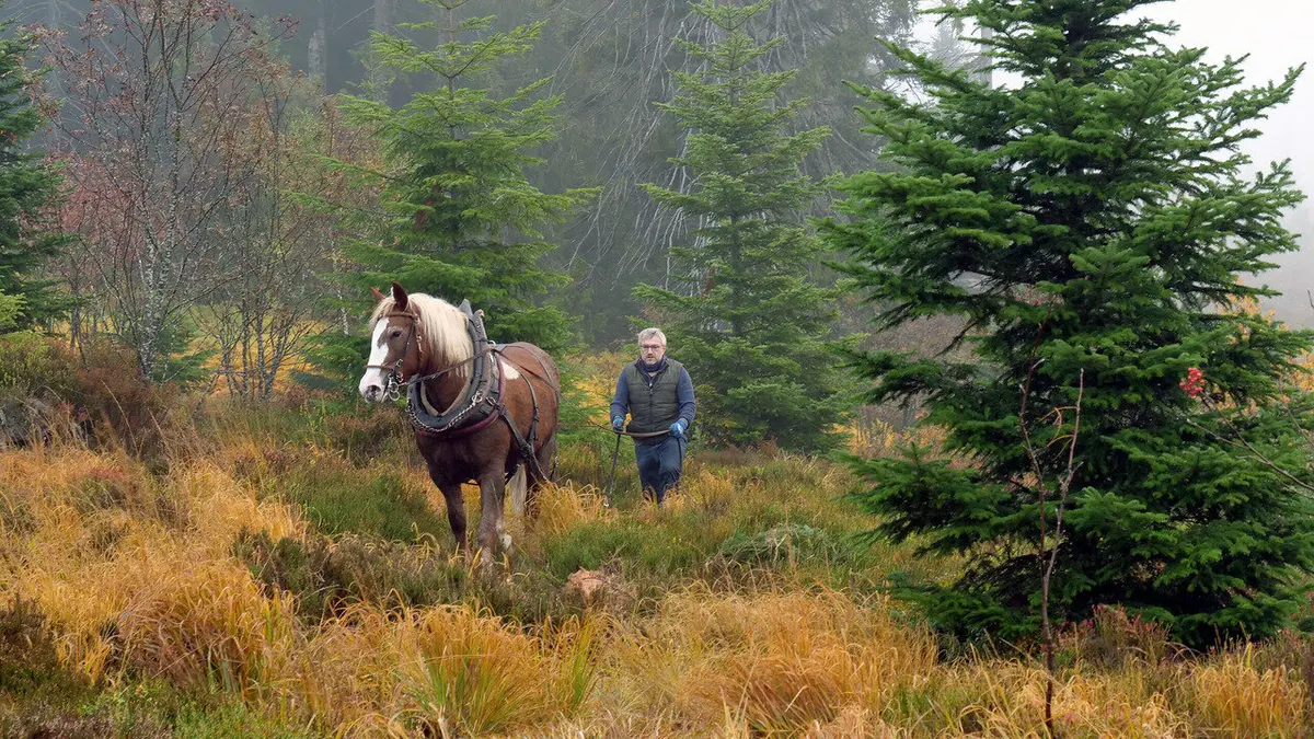 Quatre saisons en Forêt-Noire