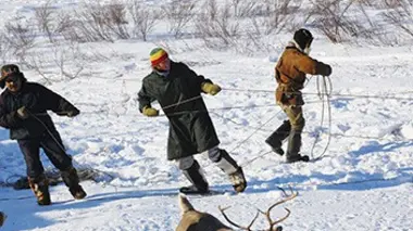Course d'endurance en Sibérie