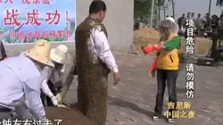 Que s'est-il passé après ?