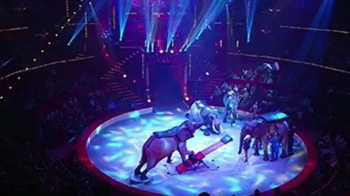 Quel cirque ! E03 France
