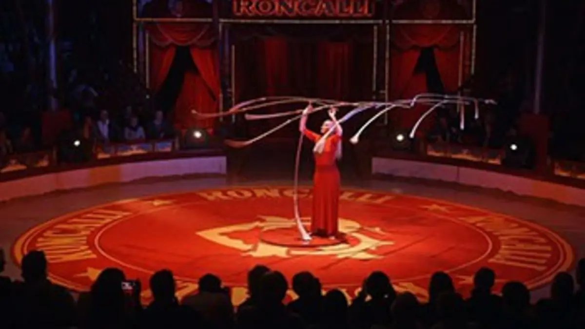 Quel cirque ! Allemagne