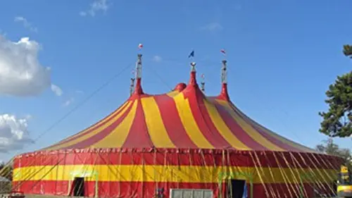Quel cirque ! Brésil