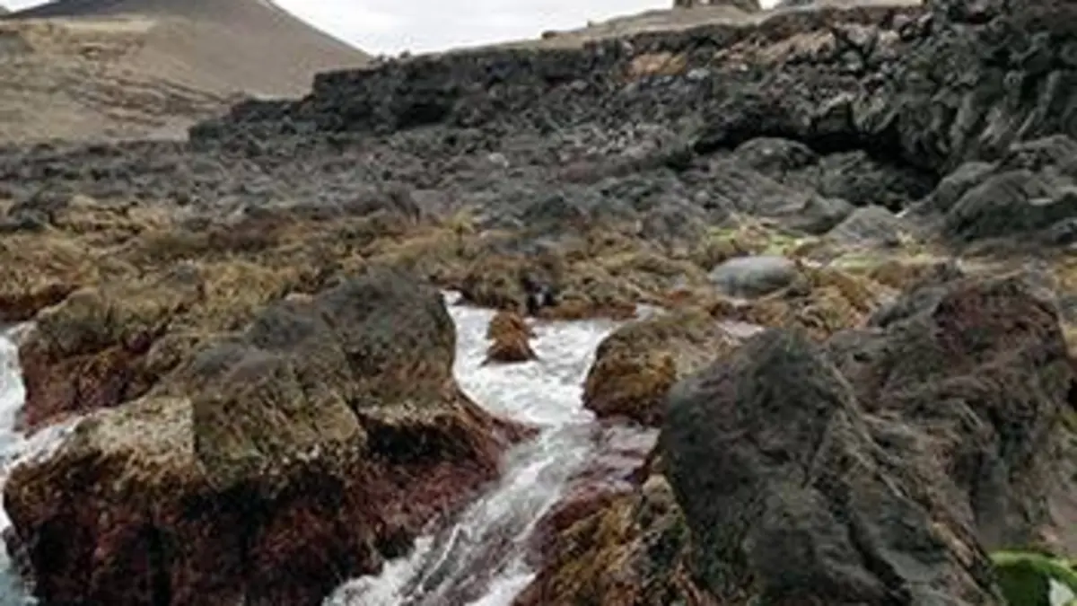 Quel temps pour demain ? Un voyage météorologique