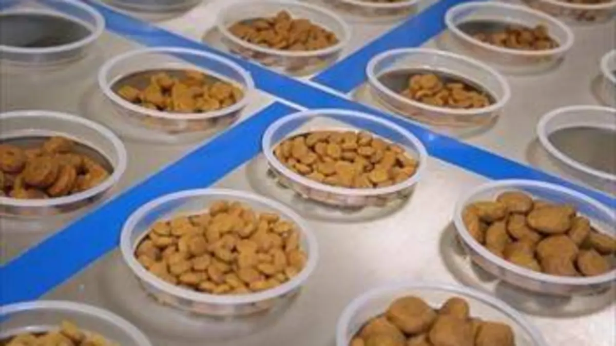 Quelles croquettes pour nos bêtes ?