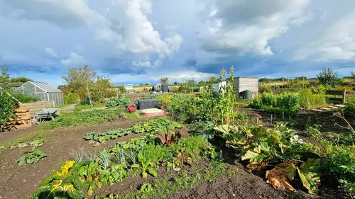 Querelles dans un jardin familial allemand