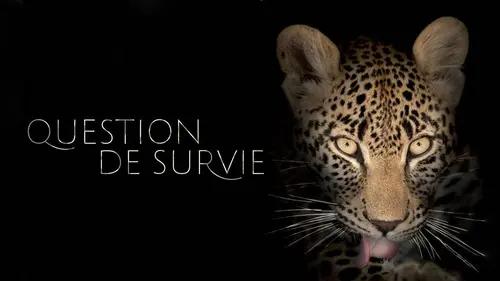 Question de survie E34 Le scorpion vénéneux