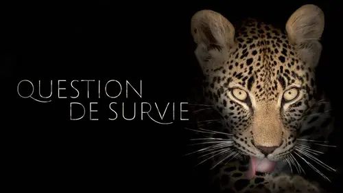 Question de survie E10 Les termites architectes