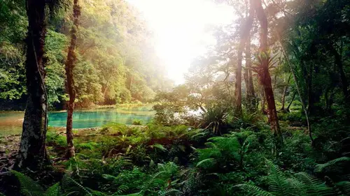 Question de survie E27 L'insatiable squille