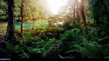 L'éléphant titanesque