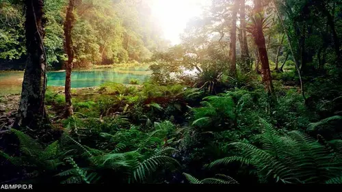 Question de survie E18 L'éléphant titanesque