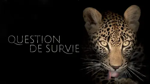 Question de survie E17 L'étrange ornithorynque