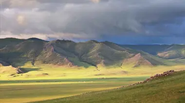 L'énorme hippopotame