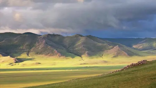 Question de survie Le kangourou