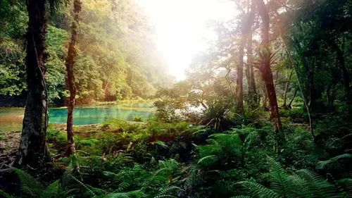 Casting Question de survie