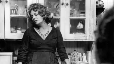 Qui a peur de Virginia Woolf ?