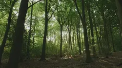 Qui a tué Lin et Megan Russell ?