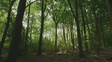 Qui a tué Lin et Megan Russell ?