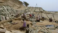 Qui a tué Néandertal ?