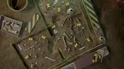 Qui a tué Néandertal ?