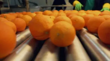 Qui a volé le goût de l'orange ?
