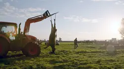 Qui peut-on manger ?  Le statu quo