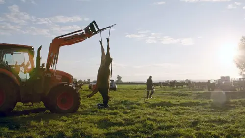 Qui peut-on manger ? Le statu quo