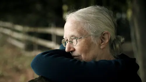 Qui peut-on manger ? Viande de laboratoire
