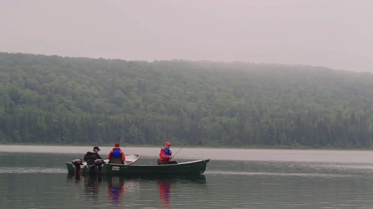 Qui se souvient de René Lévesque ?