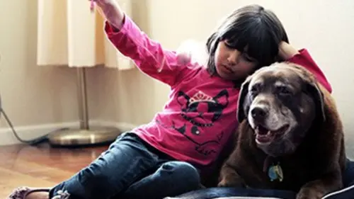 Épisodes de Qui sommes-nous ? La grande expérience