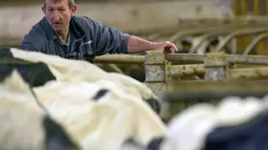 Qui sommes-nous ? Travailler encore