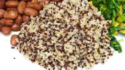 Quinoa, prenez-en de la graine !