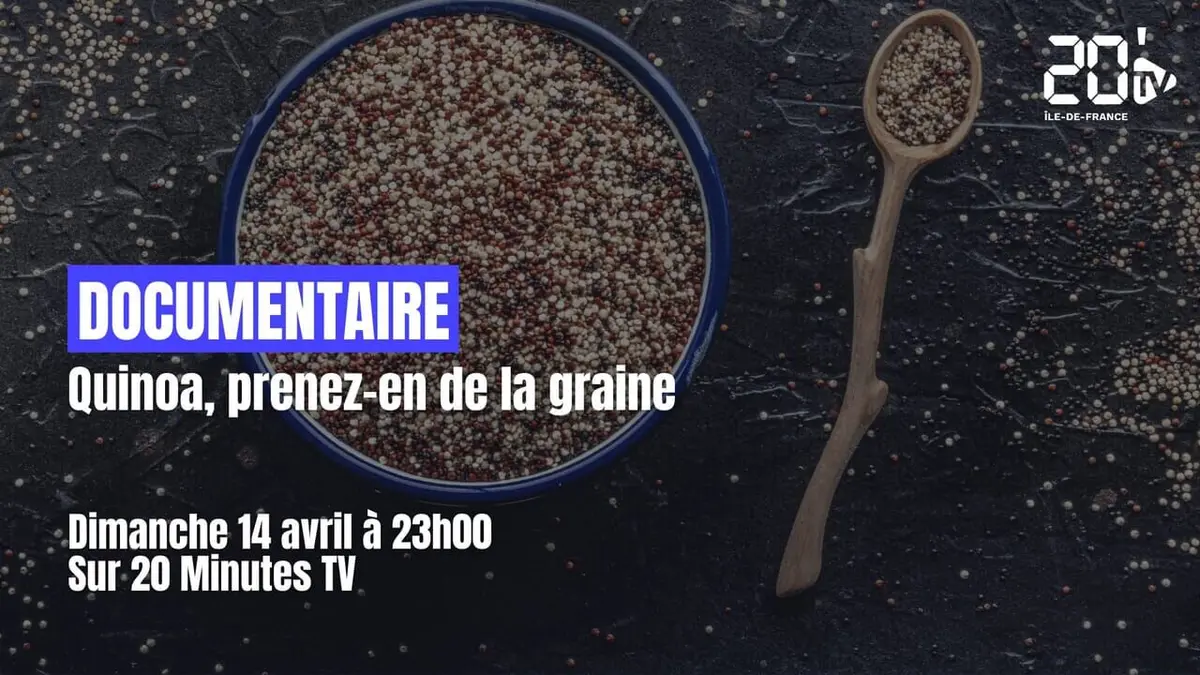 Quinoa, prenez-en de la graine !