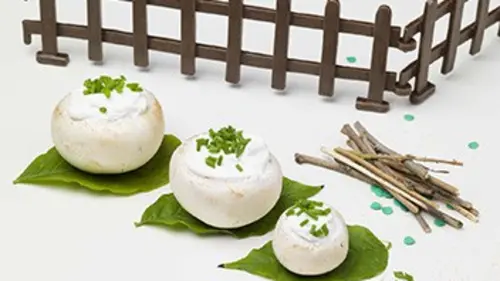 Quizzine Champignon
