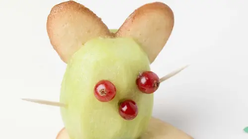 Quizzine Kiwi