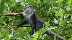 Quotidiens hors du commun Animaux sauvages : plongée au coeur des zoos