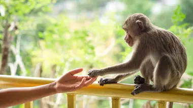 Ces héros qui sauvent nos animaux (n°2)