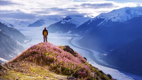 Race to Survive : Alaska La mer verte