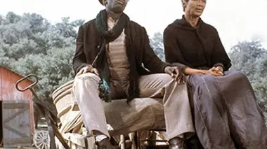 Racines : nouvelle génération (1979)