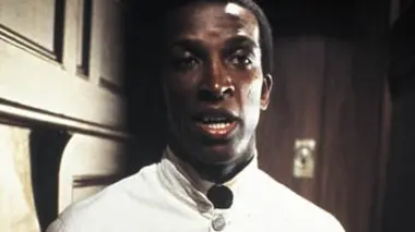 Racines : nouvelle génération (1979)