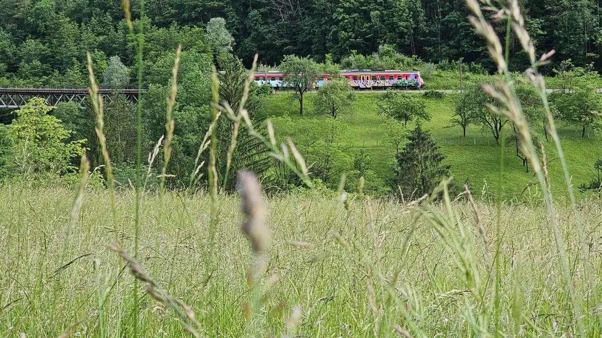 Rails d'antan Le train de Bohinj en Slovénie
