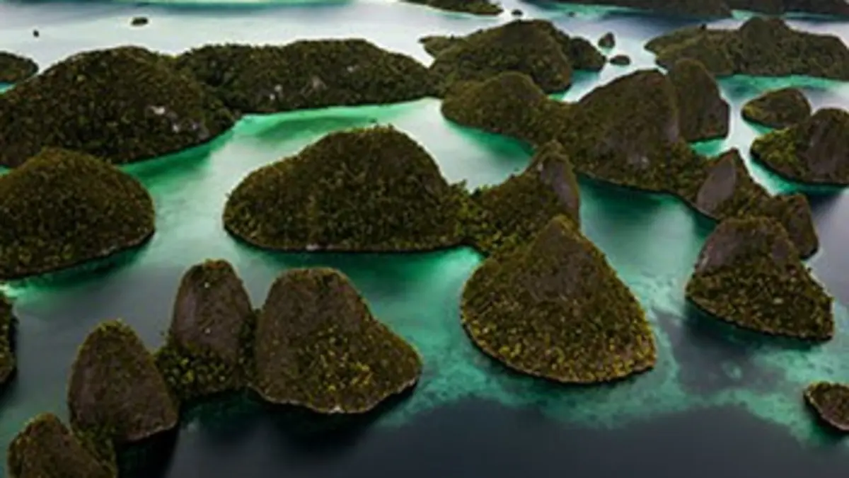 Raja Ampat, le royaume du corail