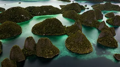 Raja Ampat, le royaume du corail