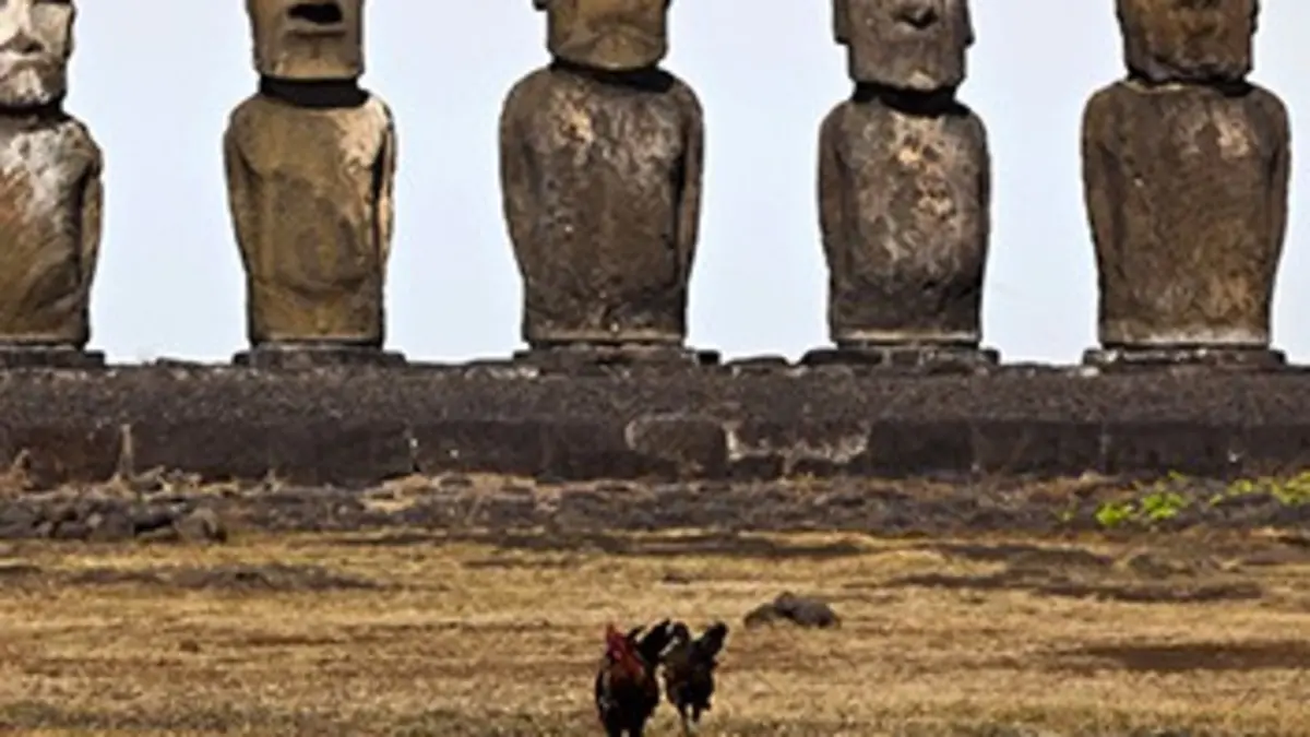 Casting Rapanui, histoire cachée de l'île de Pâques